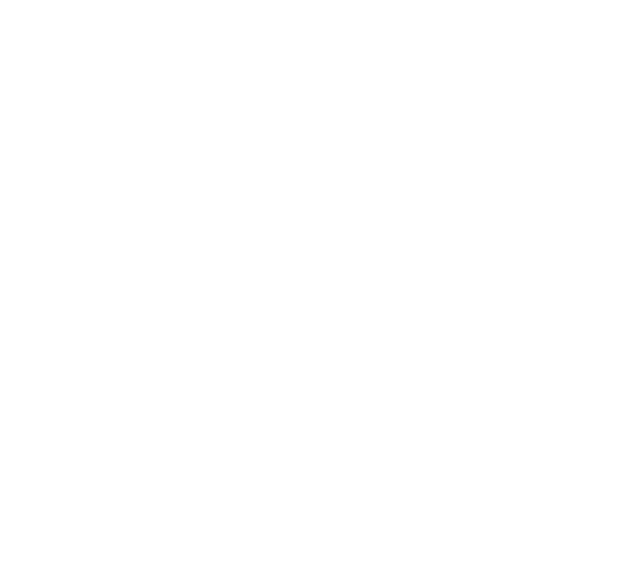 Jasmine Myers Operations With Birgo